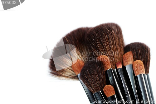 Image of make-up brushes