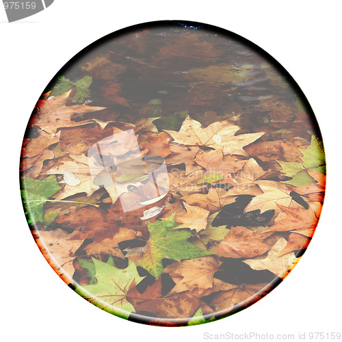 Image of icon logo