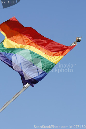 Image of Gay flag