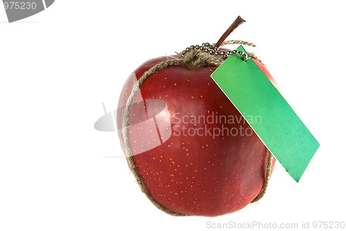 Image of Transfer of fruit