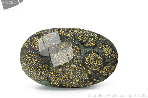 Image of Rock & bio
