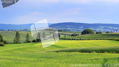 Image of Wavy fields landscape