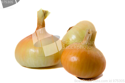 Image of Onions