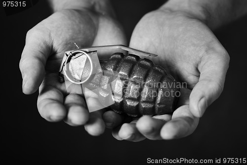 Image of Hand Grenade