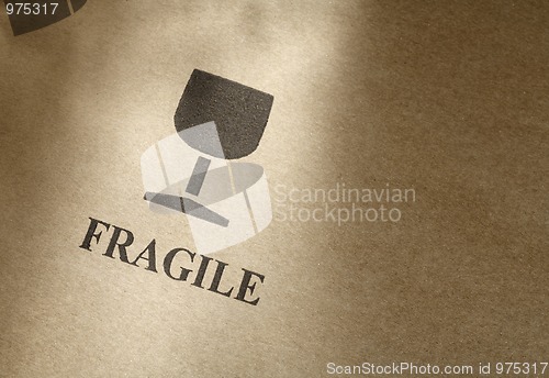 Image of Fragile Contents