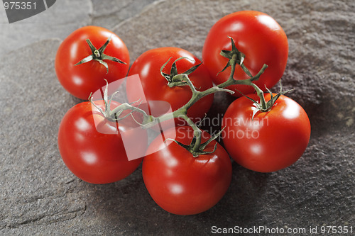 Image of Tomatoes