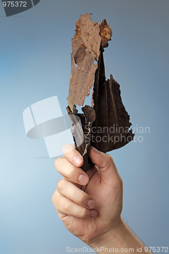 Image of Corrosion
