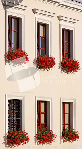 Image of Six flowery windows