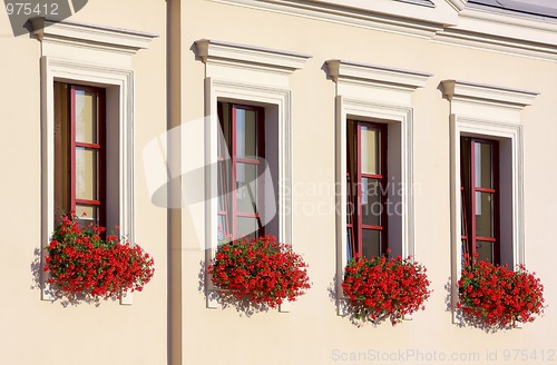 Image of Four flowery windows in a row