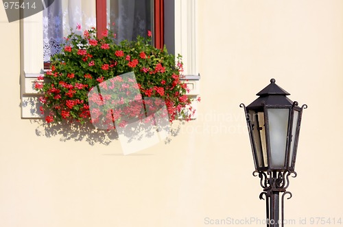 Image of Lampshade and flowers