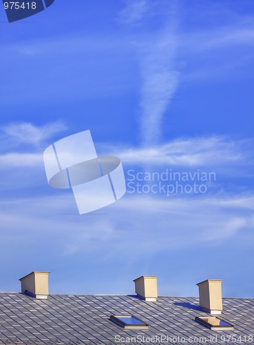 Image of Roof and chimneys