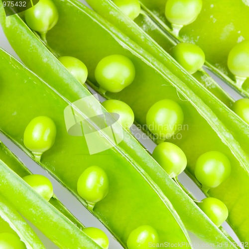 Image of Garden peas