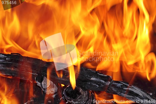 Image of Bonfire close up