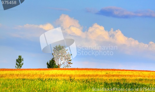 Image of Landscape with coloured meadows and clouds