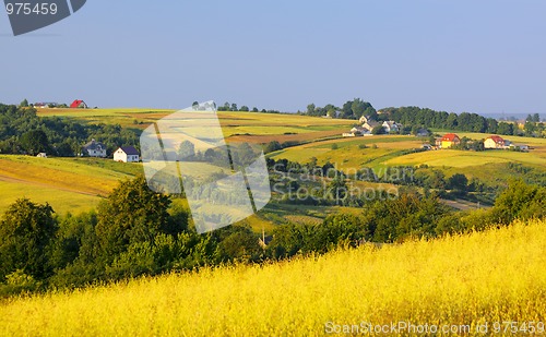 Image of Wavy fields and village