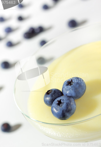 Image of Pudding in glass with blueberry