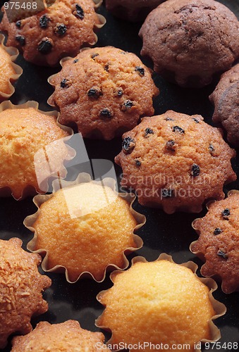 Image of Various home made muffins