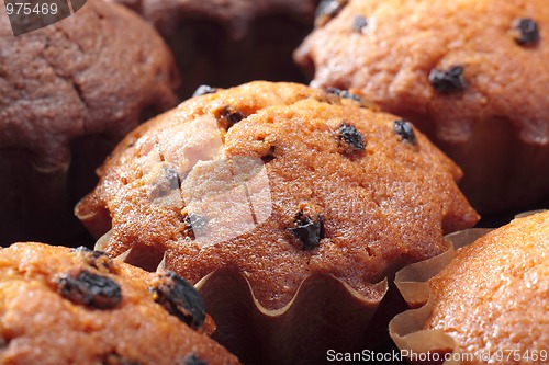 Image of Various home made muffins