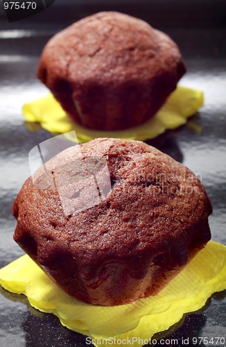 Image of Two chocolate muffins