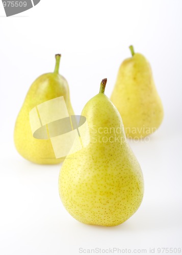 Image of Three pears 