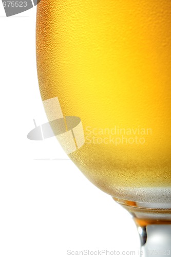 Image of Beer