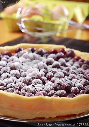 Image of Berry tart