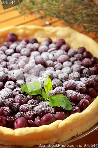 Image of Blueberry tart