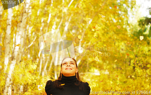 Image of autumn