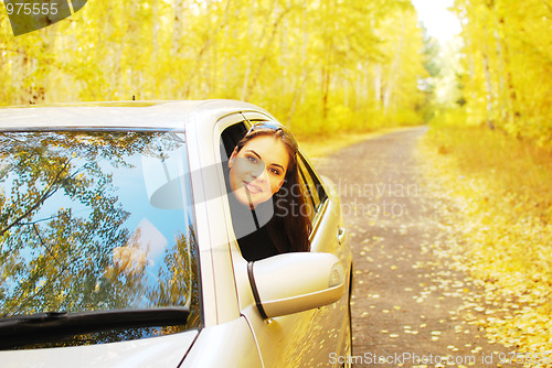 Image of autumn