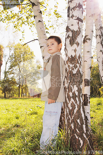 Image of Little boy at tree in park