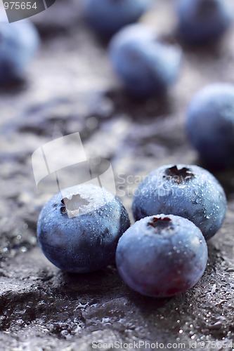 Image of Blueberry (Northern Highbush Blueberry) fruits