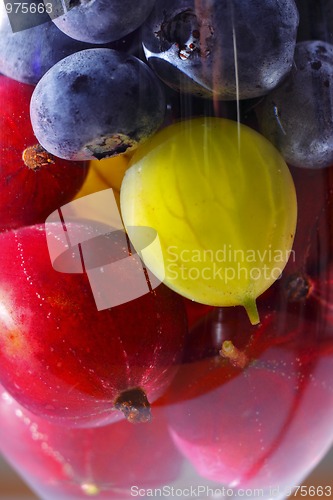 Image of Berries in water