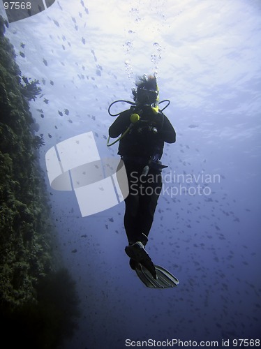 Image of scuba-diver silhouette