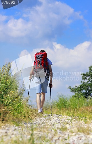 Image of Walking hiker on stony path