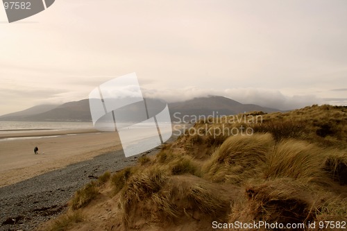 Image of WINTER BEACH