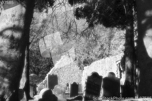 Image of OLD CHURCHYARD