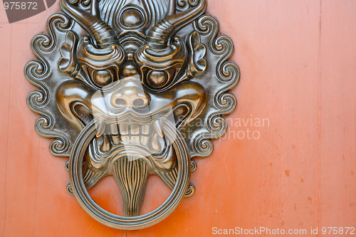 Image of lion door knob