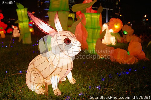 Image of lantern for Chinese mid autumn festival 