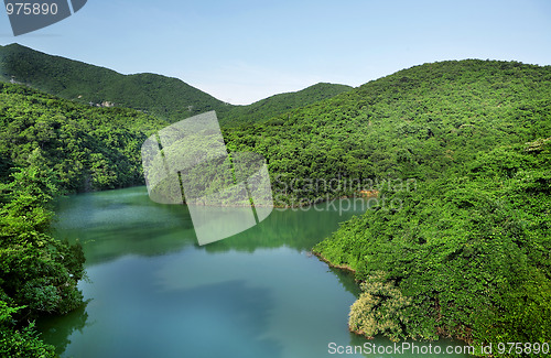 Image of lake in forest