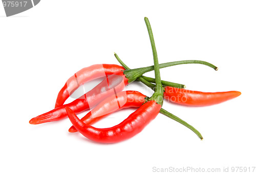 Image of red pepper