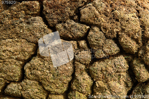 Image of Cracked Earth