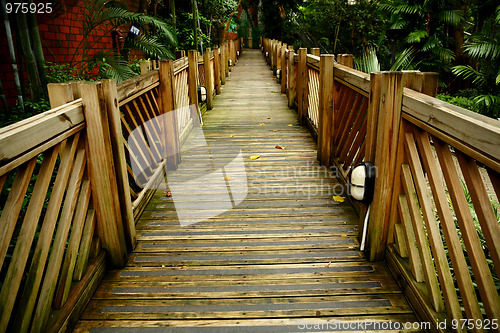 Image of wood way in forest