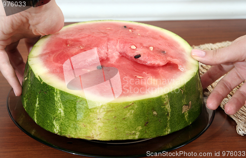 Image of Watermelon