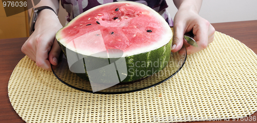 Image of Watermelon