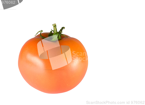 Image of Tomato