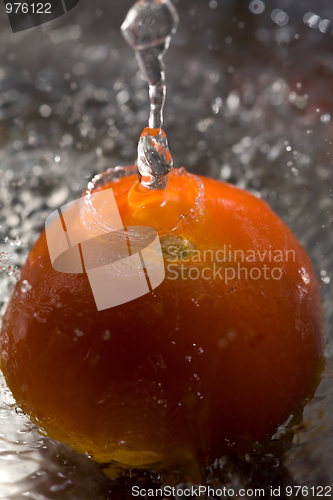 Image of Tomato