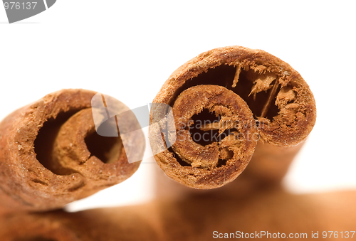 Image of Cinnamon sticks