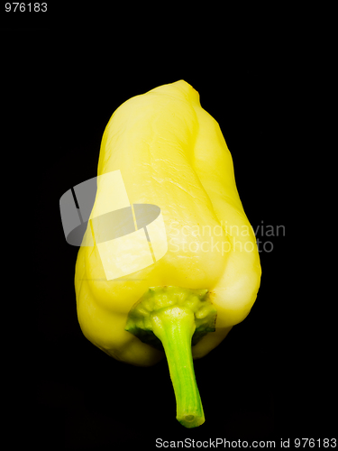 Image of Yellow sweet pepper