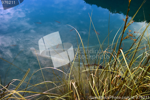 Image of Sunken boat