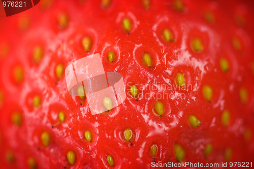 Image of Strawberry